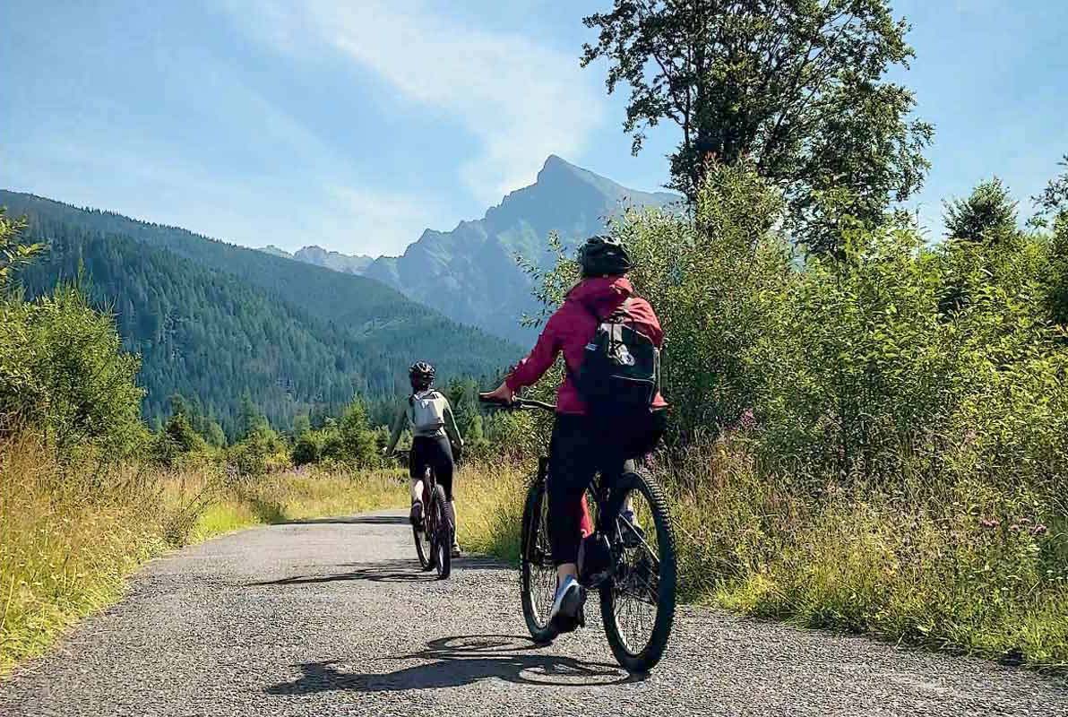 E-bike Bärenbeobachtungstour