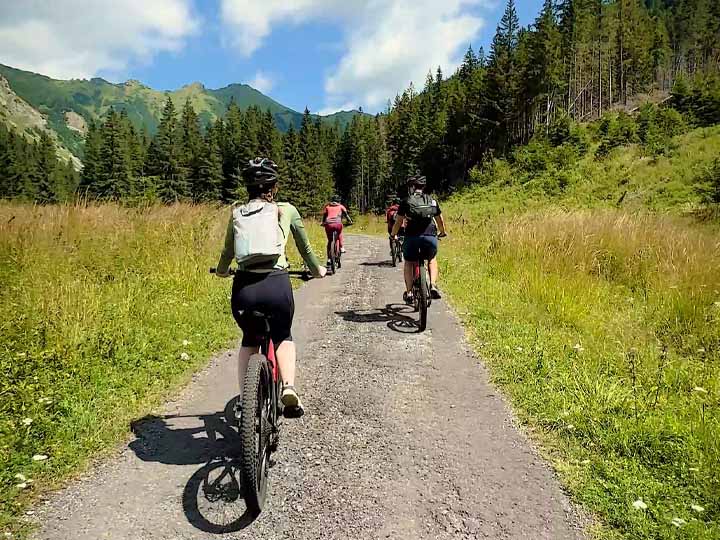 E-bike Bärenbeobachtungstour