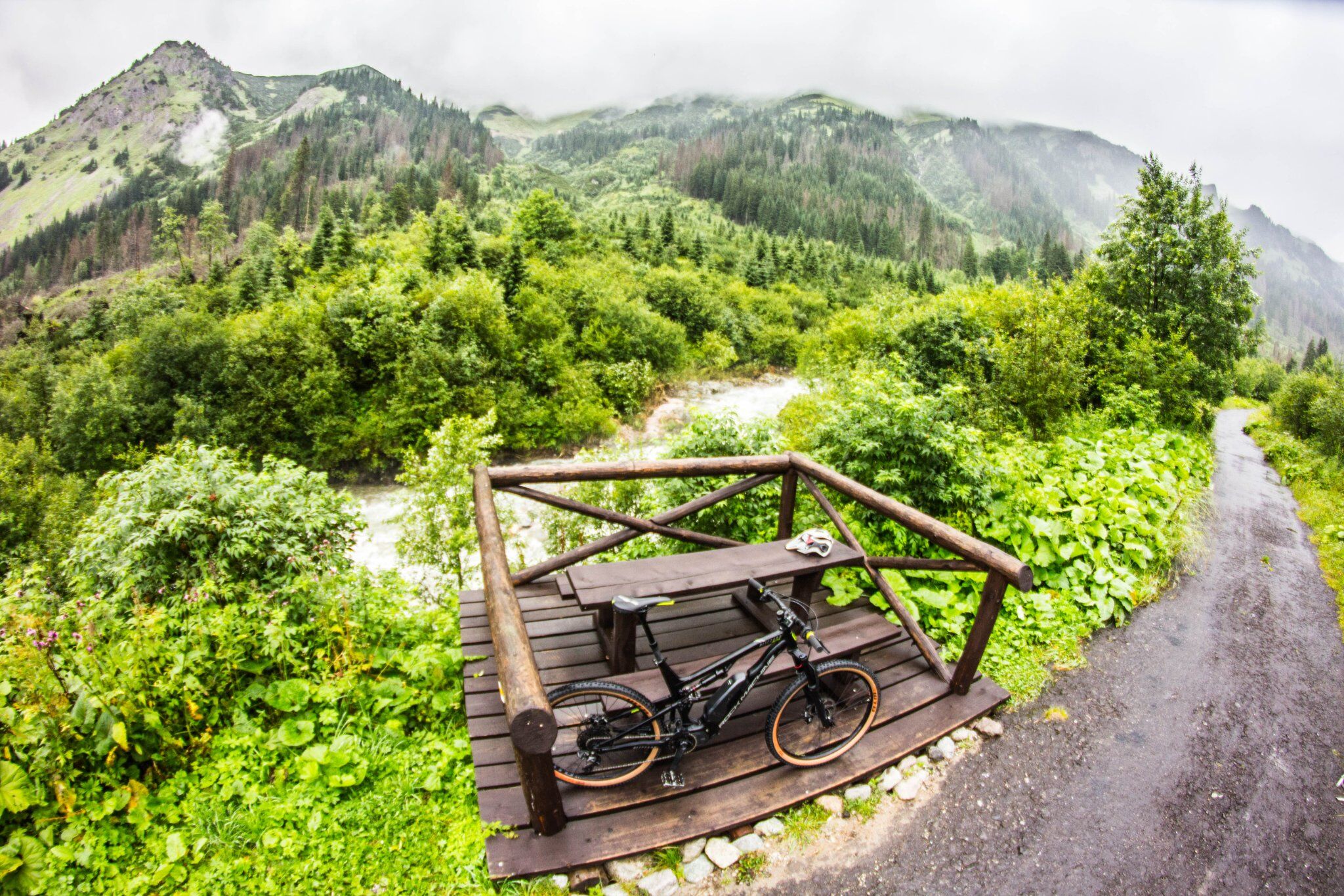 E-bike Bärenbeobachtungstour