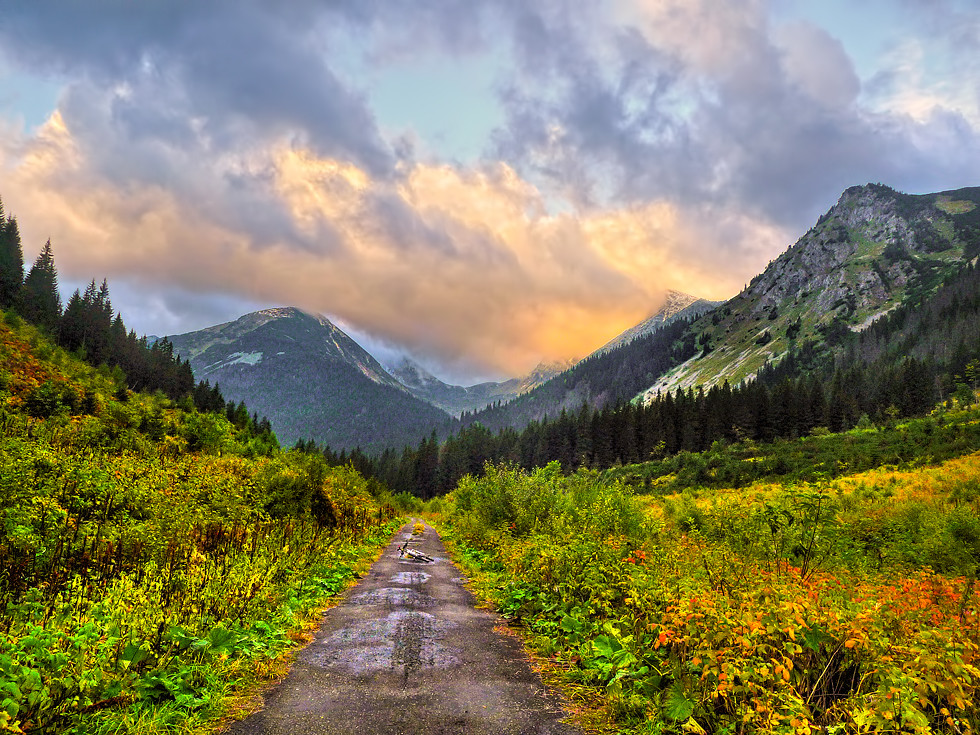 E-bike Bärenbeobachtungstour