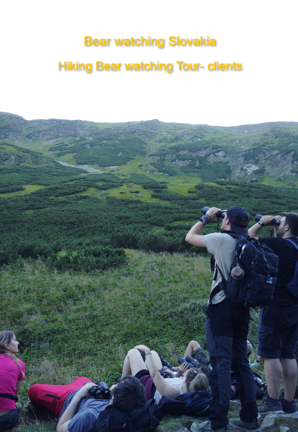 BÄRENBEOBACHTUNGS TOUR in der Slowakei