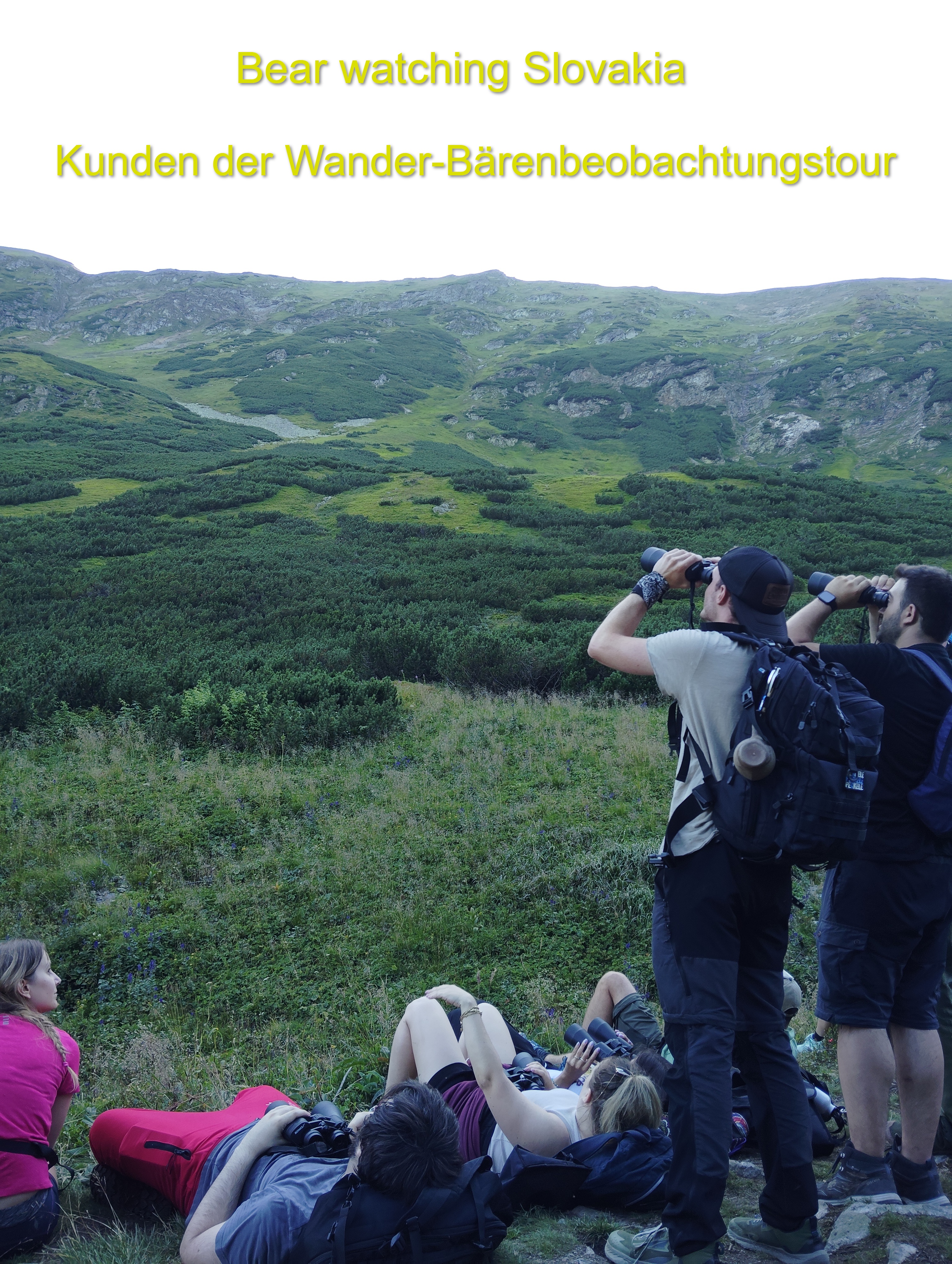 Bärenbeobachtung in der Slowakei